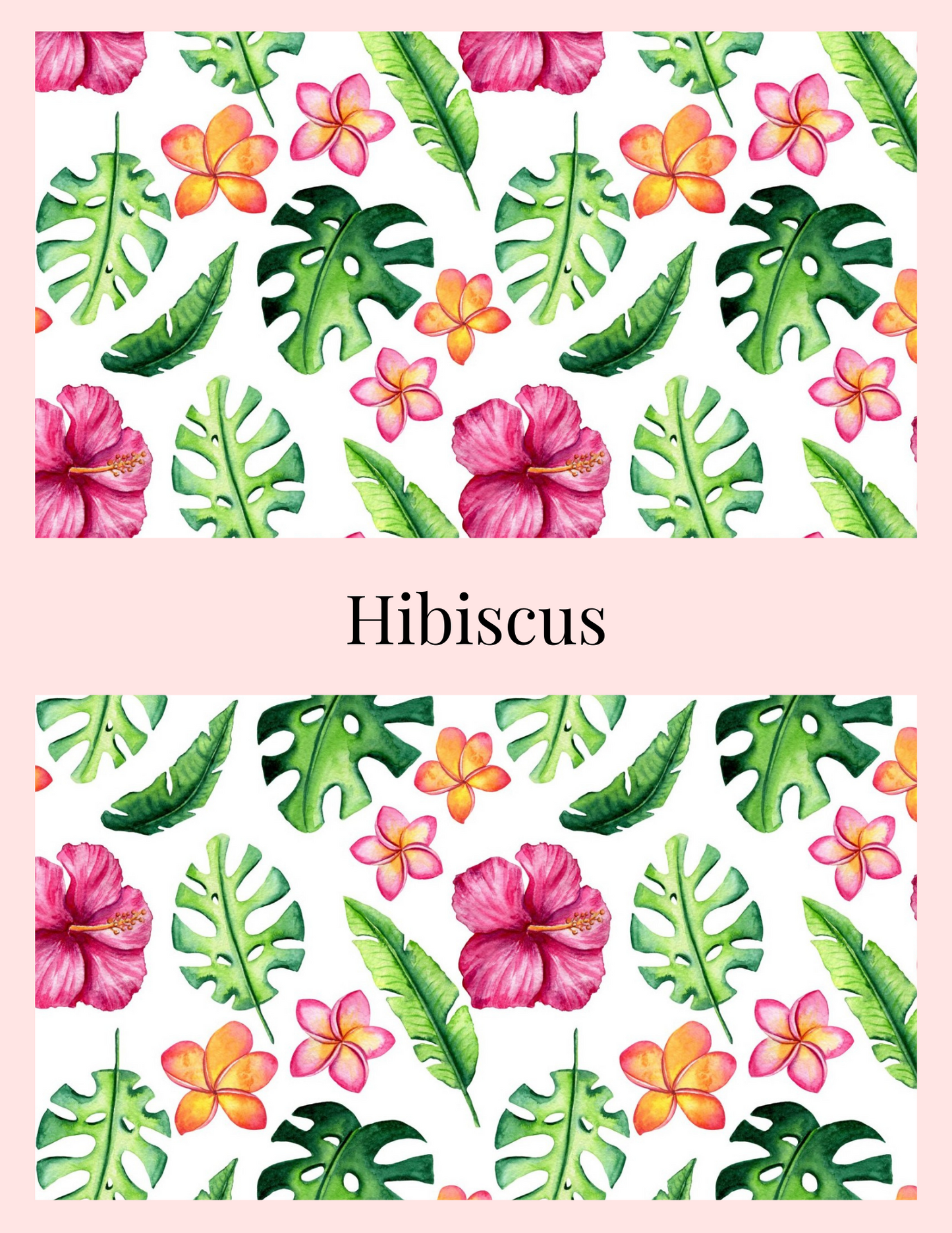 Hibiscus