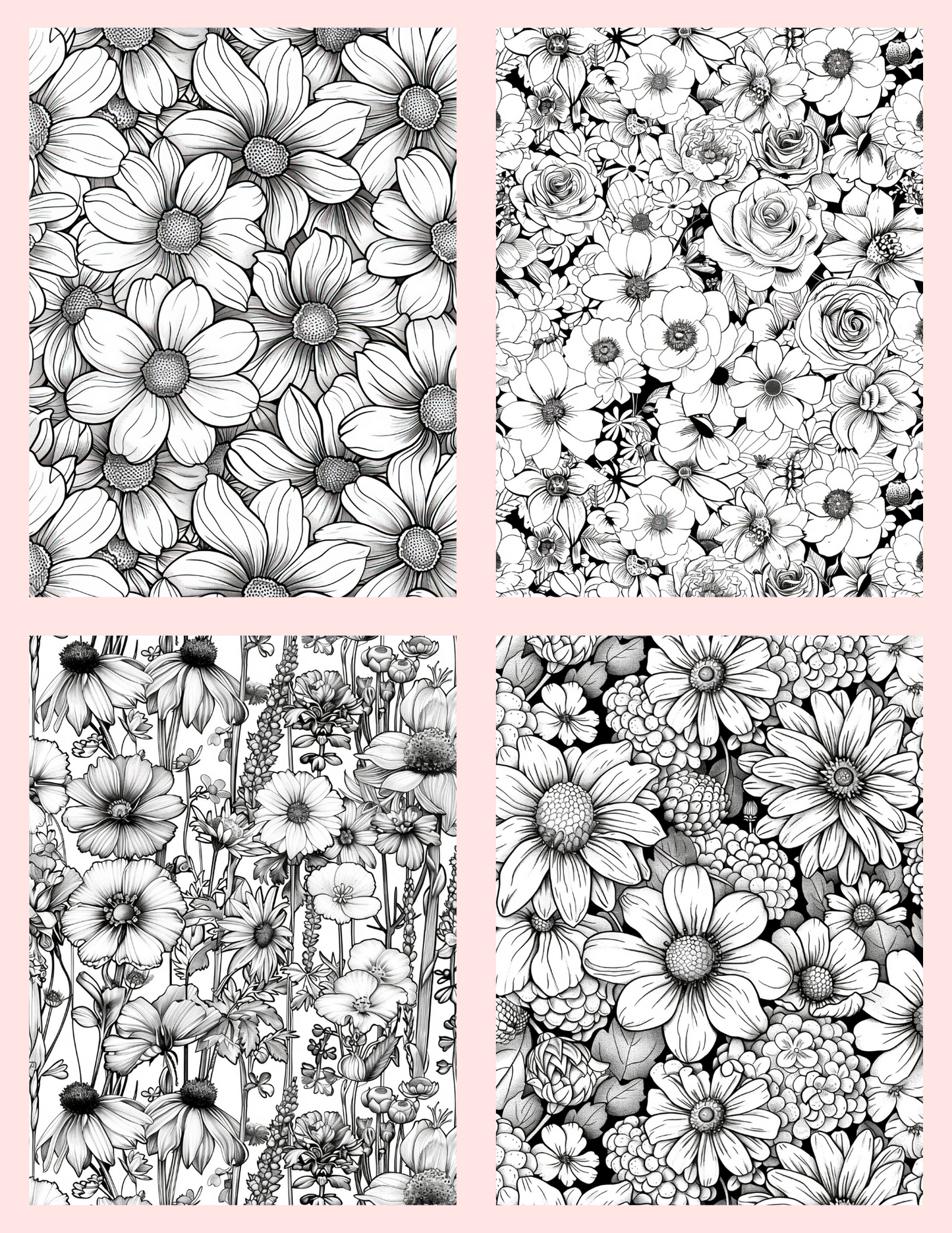 Black & White Flowers