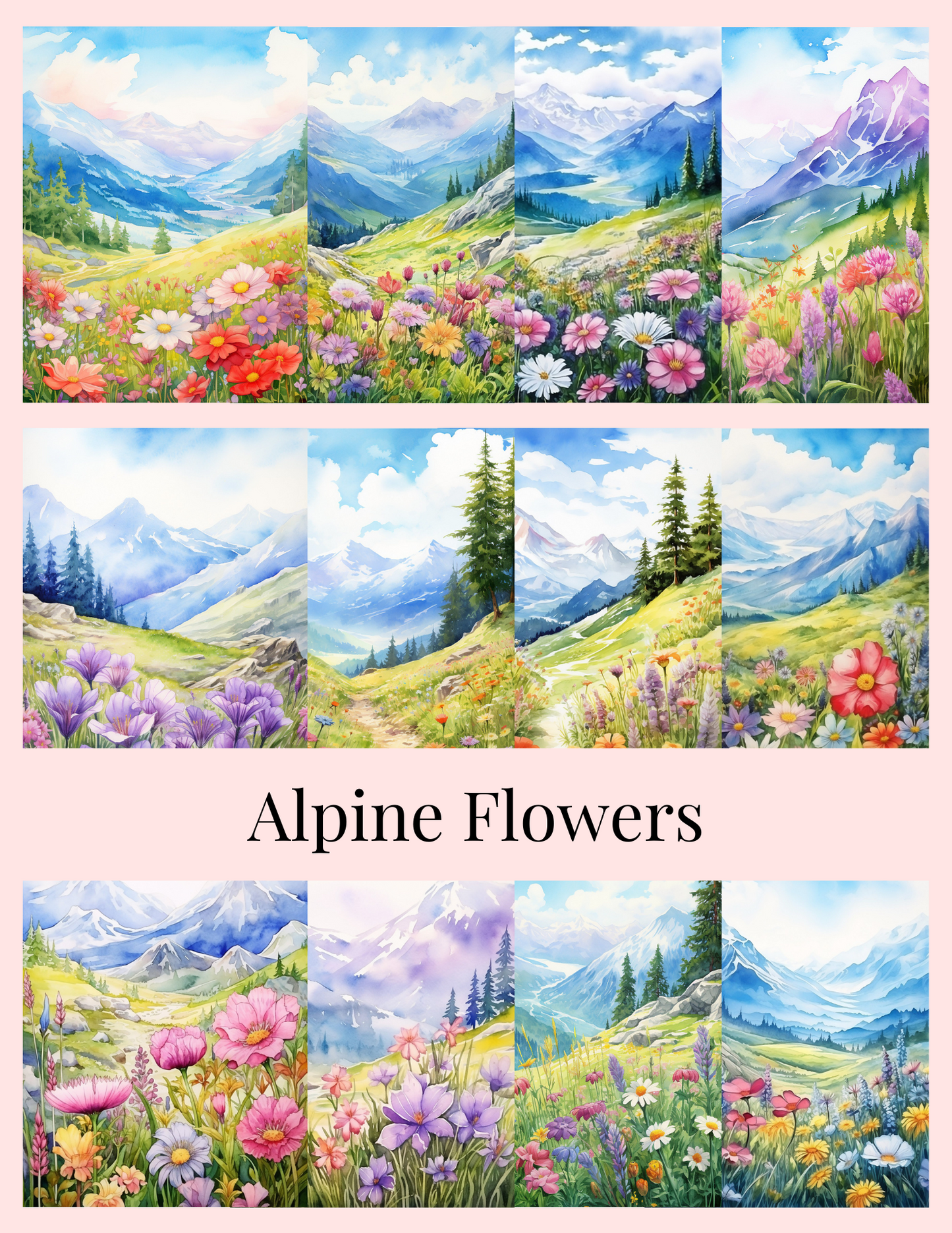 Alpine Flowers