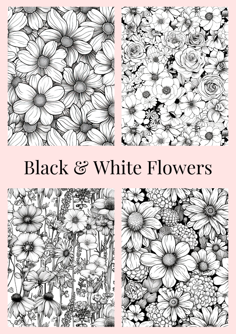 Black & White Flowers