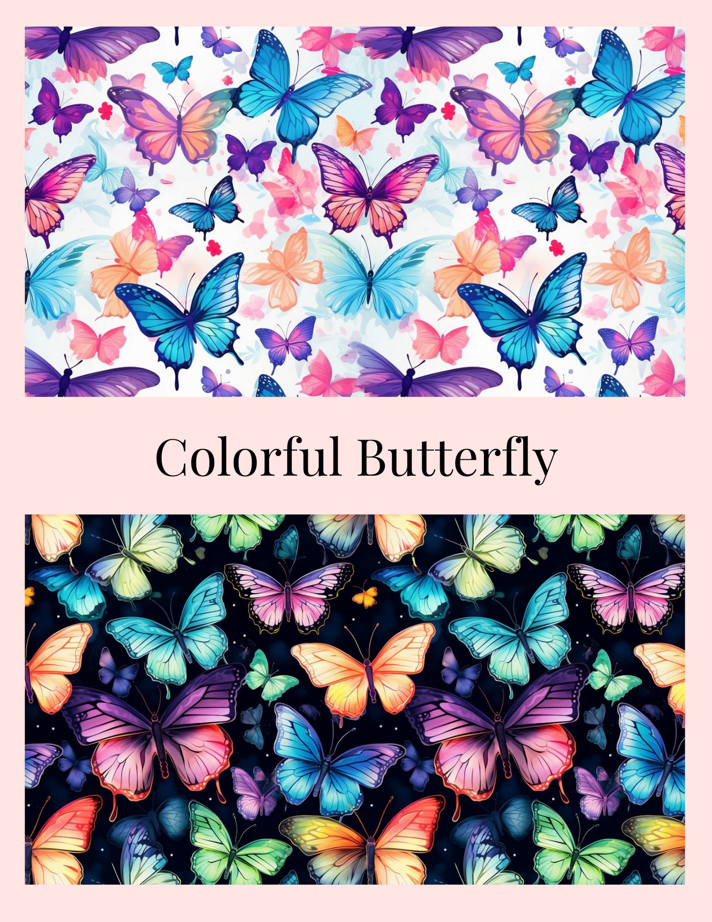 Colorful Butterfly