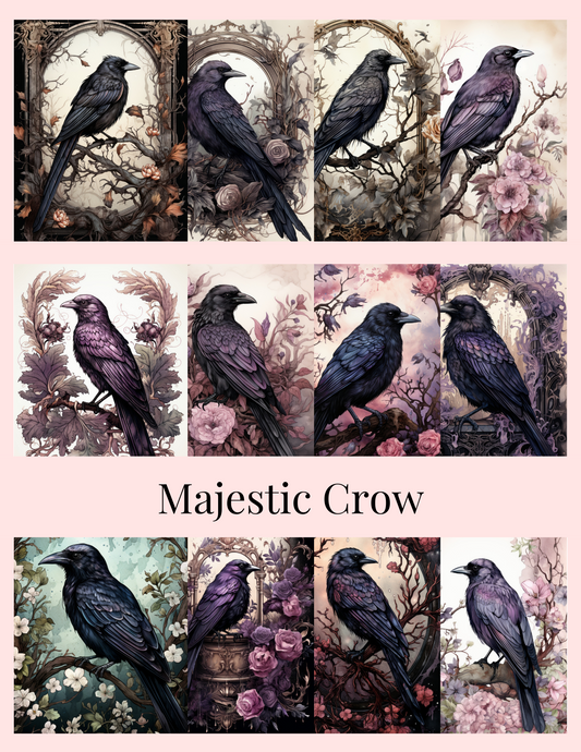 Majestic Crow