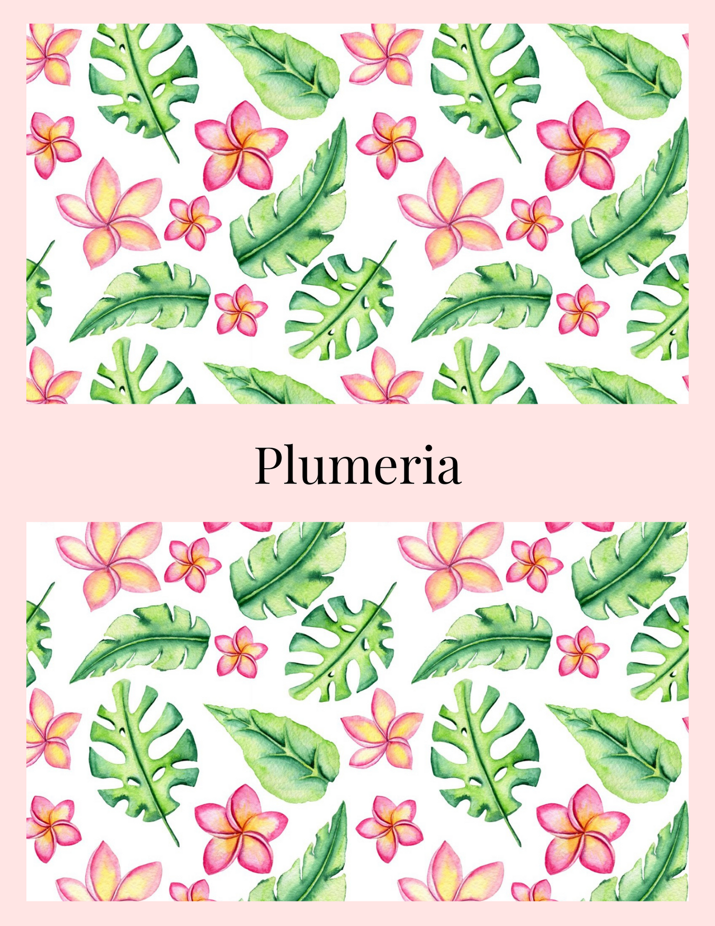 Plumeria