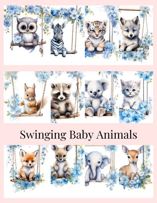 Swinging Baby Animals