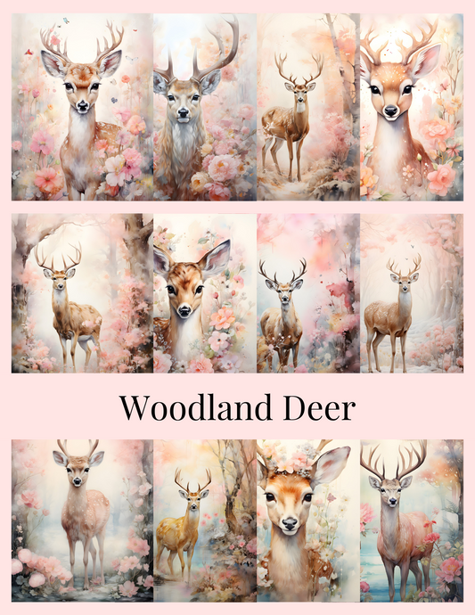 Woodland Deer